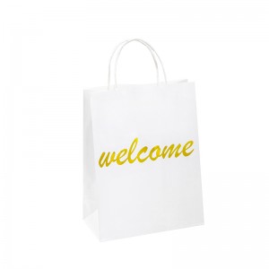 pungi de petrecere de hârtie pungi de hârtie pungi de lux pentru a lua mâncare pentru mâncare pentru mâncare