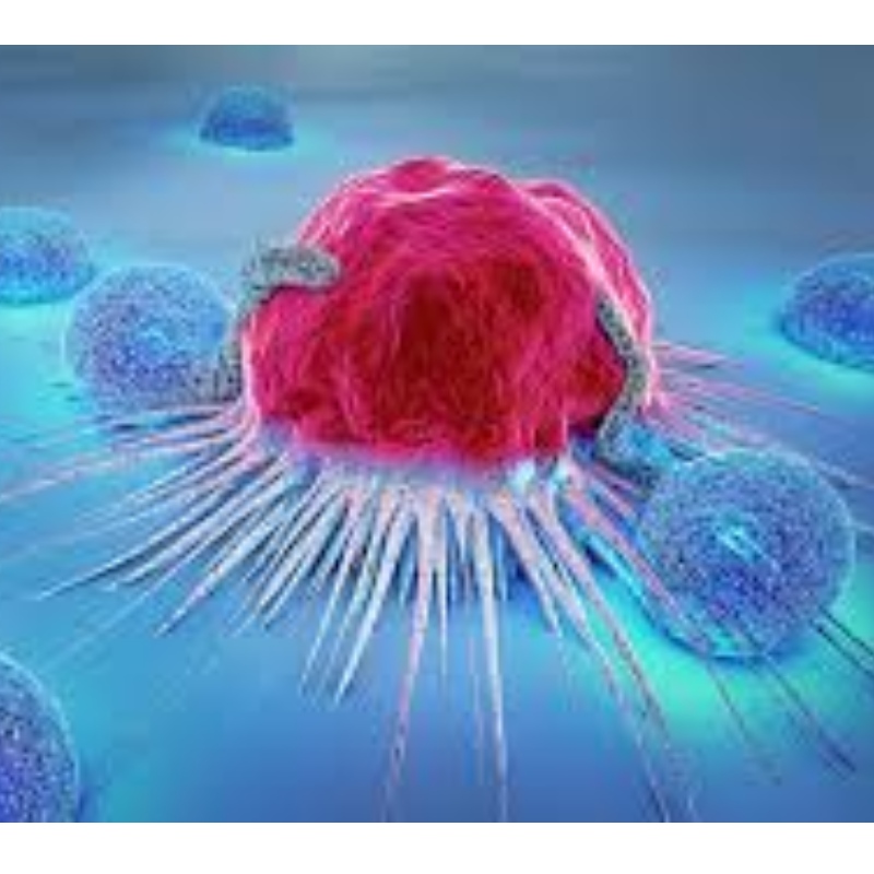 Japonia: NMN rezistă la senescența celulelor imune și inhibă creșterea tumorii de 71,4%