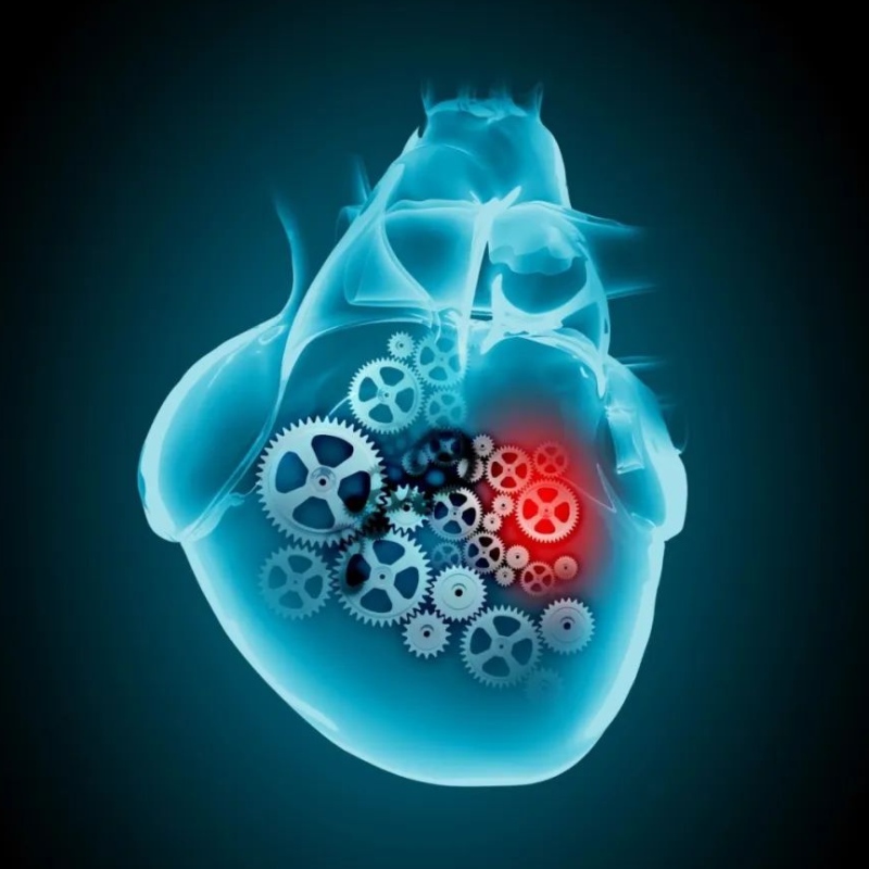 Progresul cercetării NAD+în tratamentul bolilor cardiovasculare