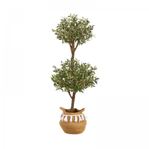 Plante decorative