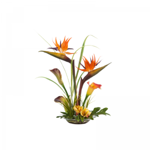 Cele mai bine vândute