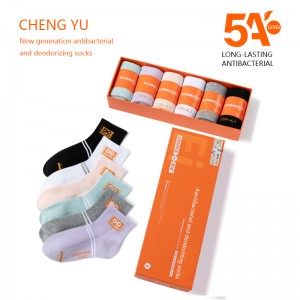 Four Seasons Women Socks