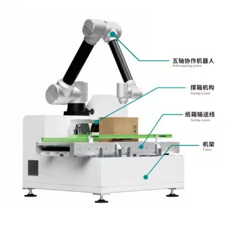 Colaborare Case Packer