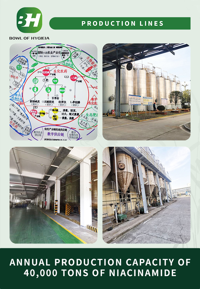 1704264575.jpg 3.jpg